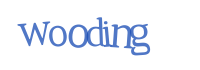 captcha txt